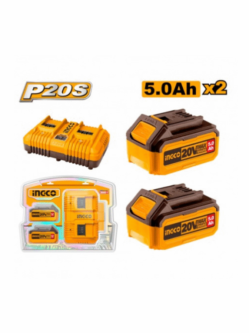 KIT 2 BATTERIE + CARICABATTERIE DOPPIO 5AH (FBLI2003+FCLI2034E)