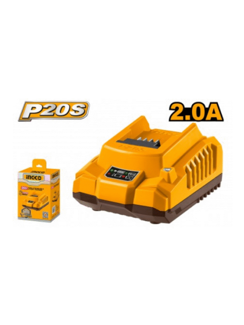 Progetto senza titolo 9 CARICABATTERIA 20V 110V-240V