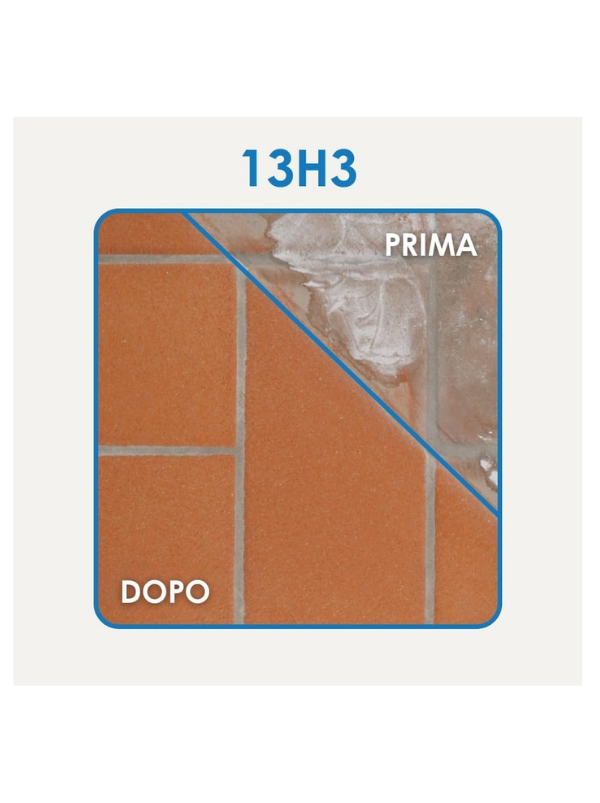 13H3 ACIDO FORTE DISINCROSTANTE 1L